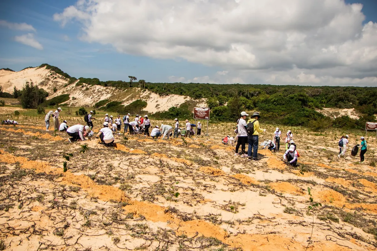 A Beginner's Guide to Volunteering in the Shire